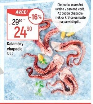Kalamáry chapadla