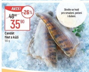 Candát filety