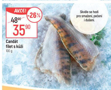 Candát filety