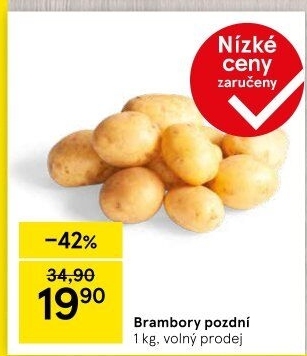 Brambory konzumní pozdní