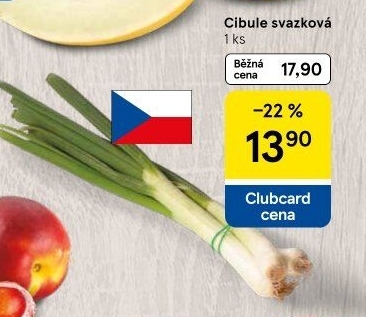 Jarní cibule svazek