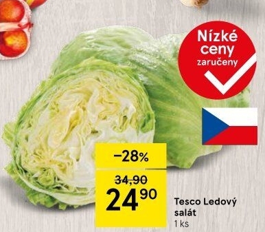 Salát ledový Tesco