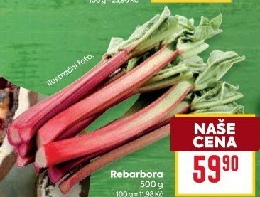 Rebarbora