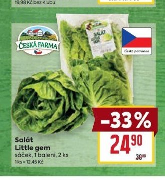 Salát Little gem