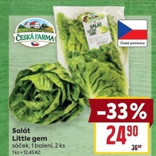 Salát little gem Česká farma