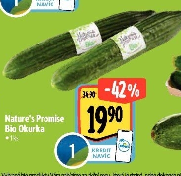 Okurka salátová - hadovka bio Nature'