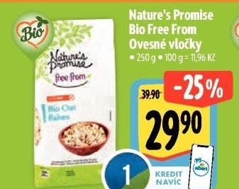 Ovesné vločky bio bez lepku Free From Nature'