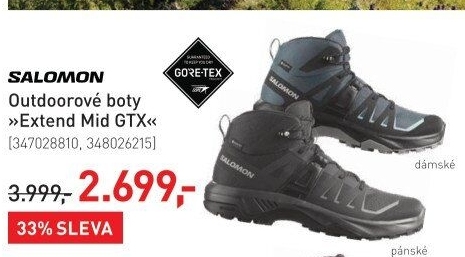 Pánská outdoorová obuv Extend Mid GTX Salomon