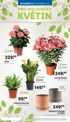 akční leták Lidl 19.5.2025-21.5.2025