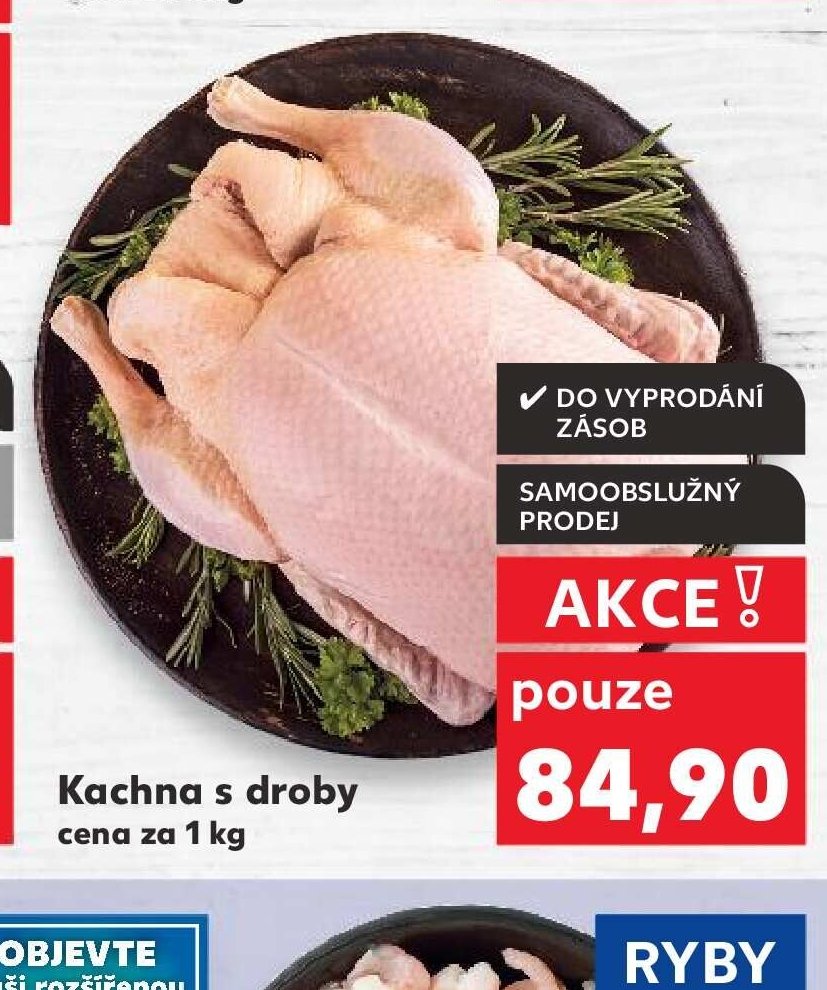 Kachna s droby