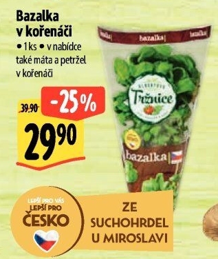 Bylinky v květináči Albert