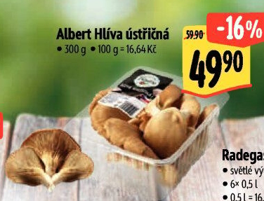 Hlíva ústřičná Albert