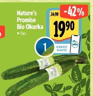 Okurka salátová - hadovka bio Nature'