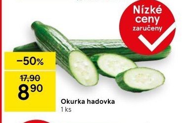 Okurka hadovka