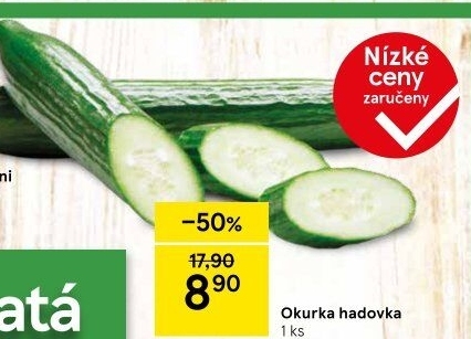 Okurka salátová - hadovka