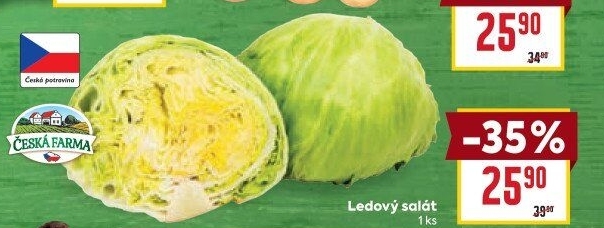 Salát ledový Česká farma