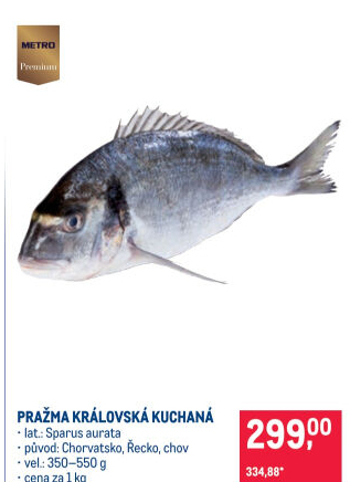 Pražma královská kuchaná Metro Premium