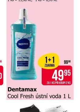 Dentamax Cool Fresh ústní voda 1 L