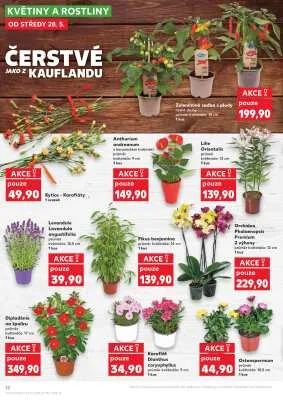 akční leták Kaufland 28.5.2025-3.6.2025