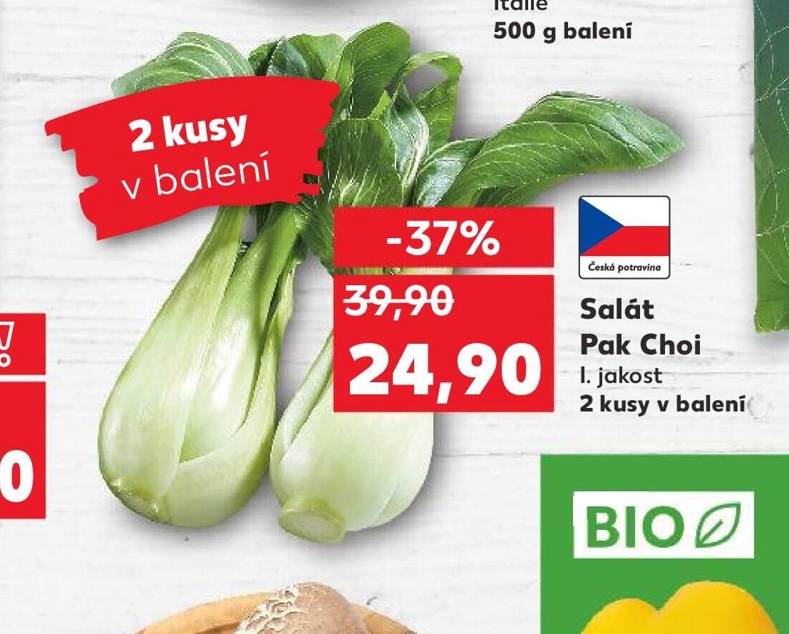 Salát Pak Choi