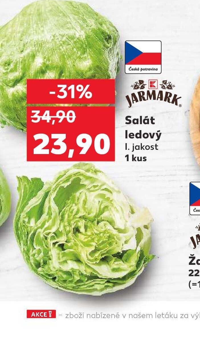 Salát ledový