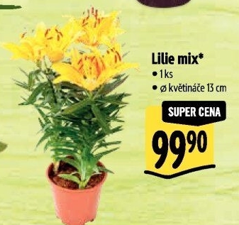 Lilie