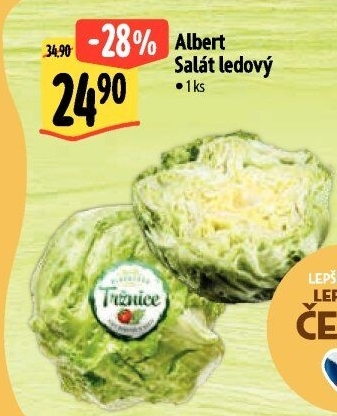 Salát ledový Albert