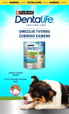 akční leták Albert 28.5.2025-3.6.2025