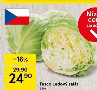 Salát ledový Tesco