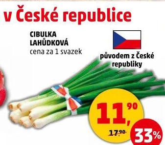 Jarní cibule svazek