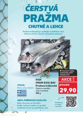 akční leták Kaufland 4.6.2025-10.6.2025