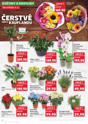 akční leták Kaufland 4.6.2025-10.6.2025