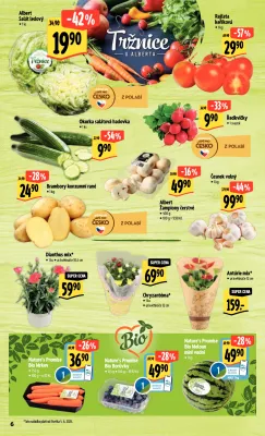 akční leták Albert 4.6.2025-10.6.2025