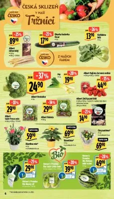 akční leták Albert 4.6.2025-10.6.2025