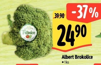Brokolice Albert