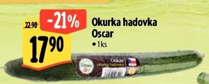Okurka salátová - hadovka Albert