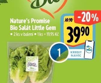 Salát little gem bio Nature'