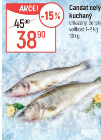 Candát obecný kuchaný