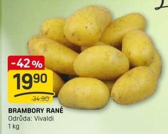 Brambory konzumní rané