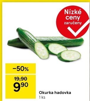 Okurka salátová - hadovka