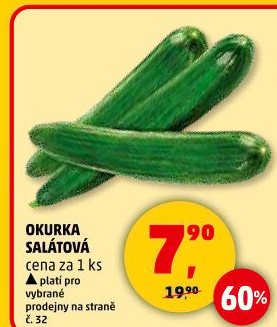 Okurka salátová - hadovka