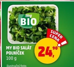 Salát polníček My BIO