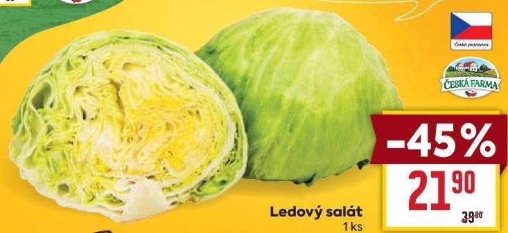 Salát ledový Česká farma