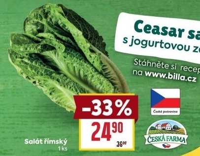 Salát římský Česká farma