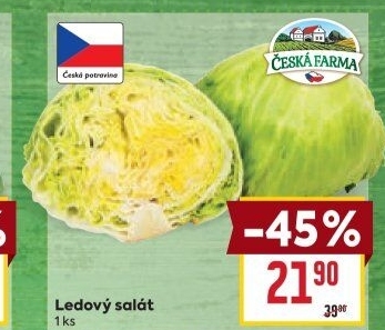 Salát ledový Česká farma