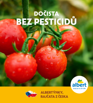 akční leták Albert 4.6.2025-1.7.2025