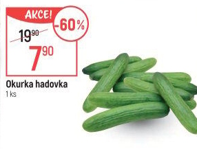 Okurka salátová - hadovka