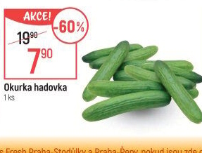Okurka salátová - hadovka