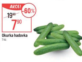 Okurka salátová - hadovka
