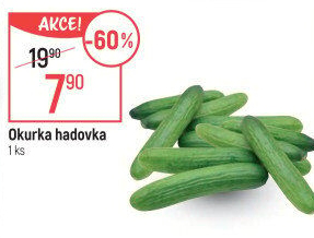 Okurka salátová - hadovka